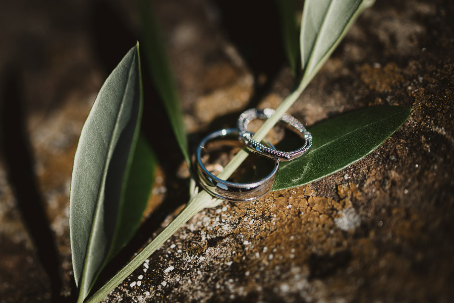 rustic chic rings shot with olive tree