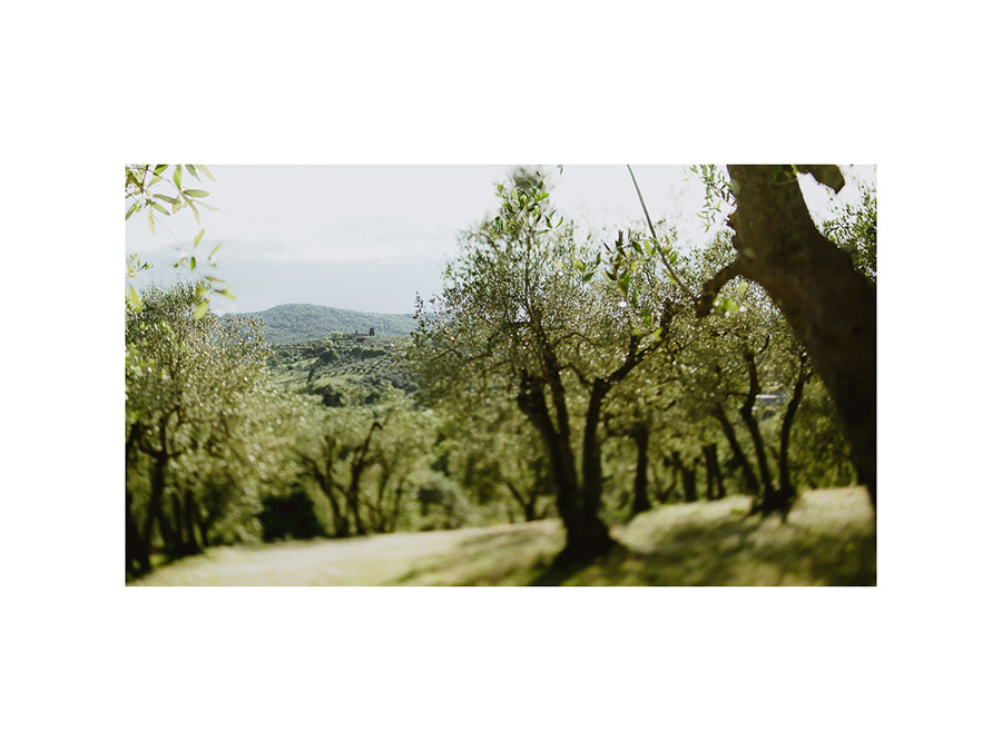 Pre Wedding Photography Italy tuscan countryside lifestyle fine
